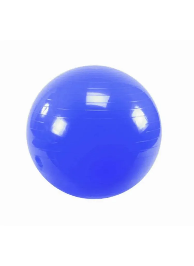 iTECHOR Anti-Burst Balance Stability Fitness Ball with Air Pump