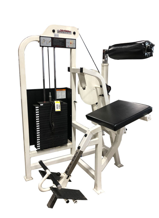 Life Fitness Pro 1 Low Back Extension
