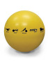 Prism Stability Ball
